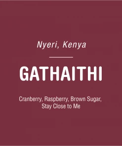 Tandem Coffee Roasters Gathaithi