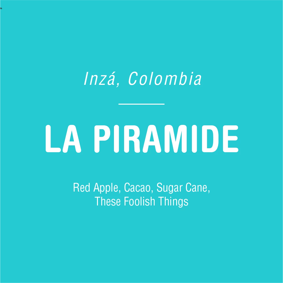 Tandem Coffee Roasters La Piramide 1 Tandem Coffee Roasters La Piramide