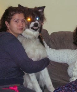 Tandem Coffee Roasters Nikon CoolPix 5600