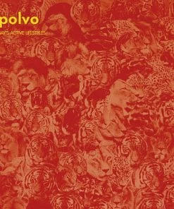 Tandem Coffee Roasters Polvo - Today's Active Lifestyle