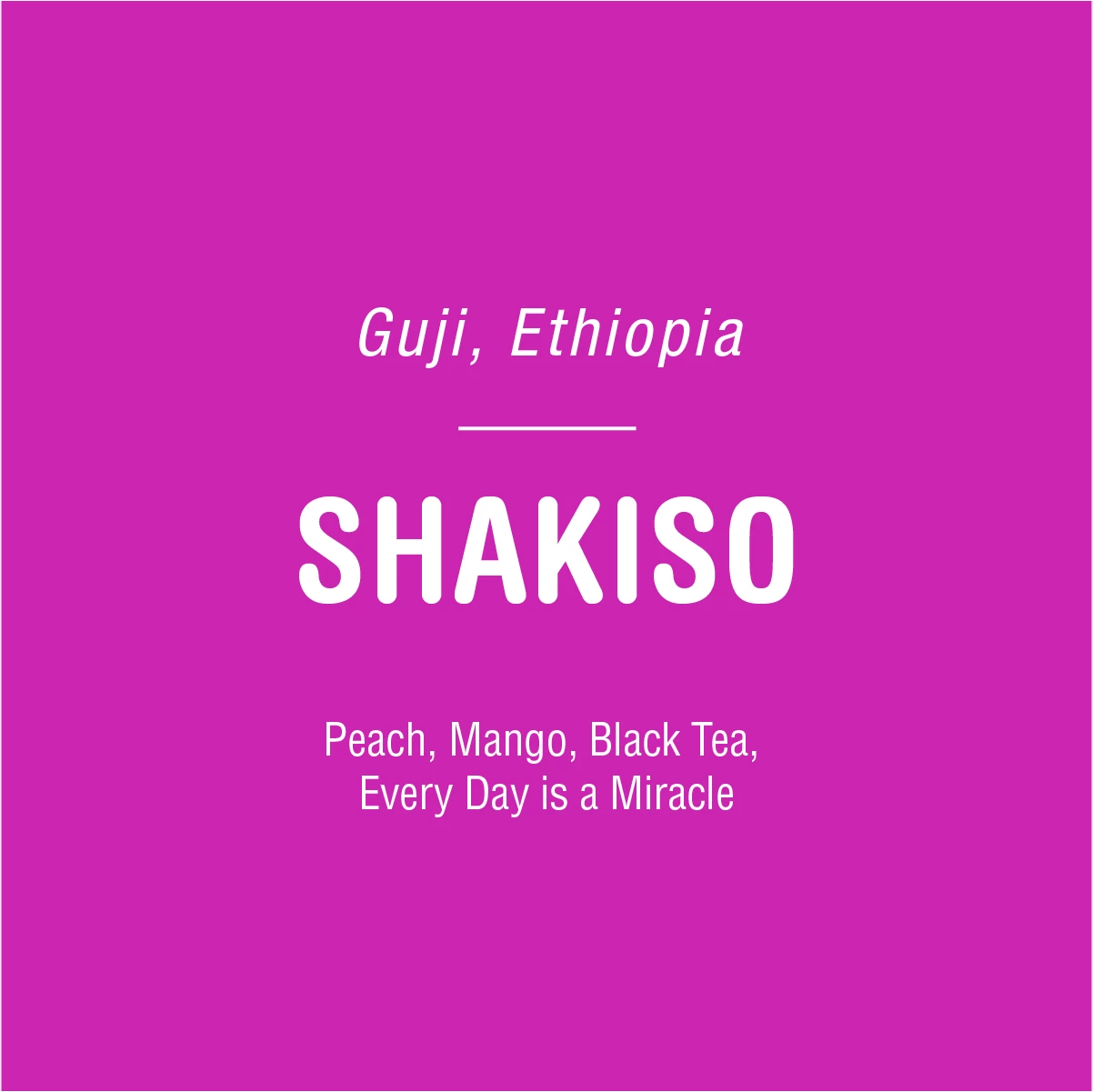 Tandem Coffee Roasters Coffee Shakiso 1 Tandem Coffee Roasters Coffee Shakiso