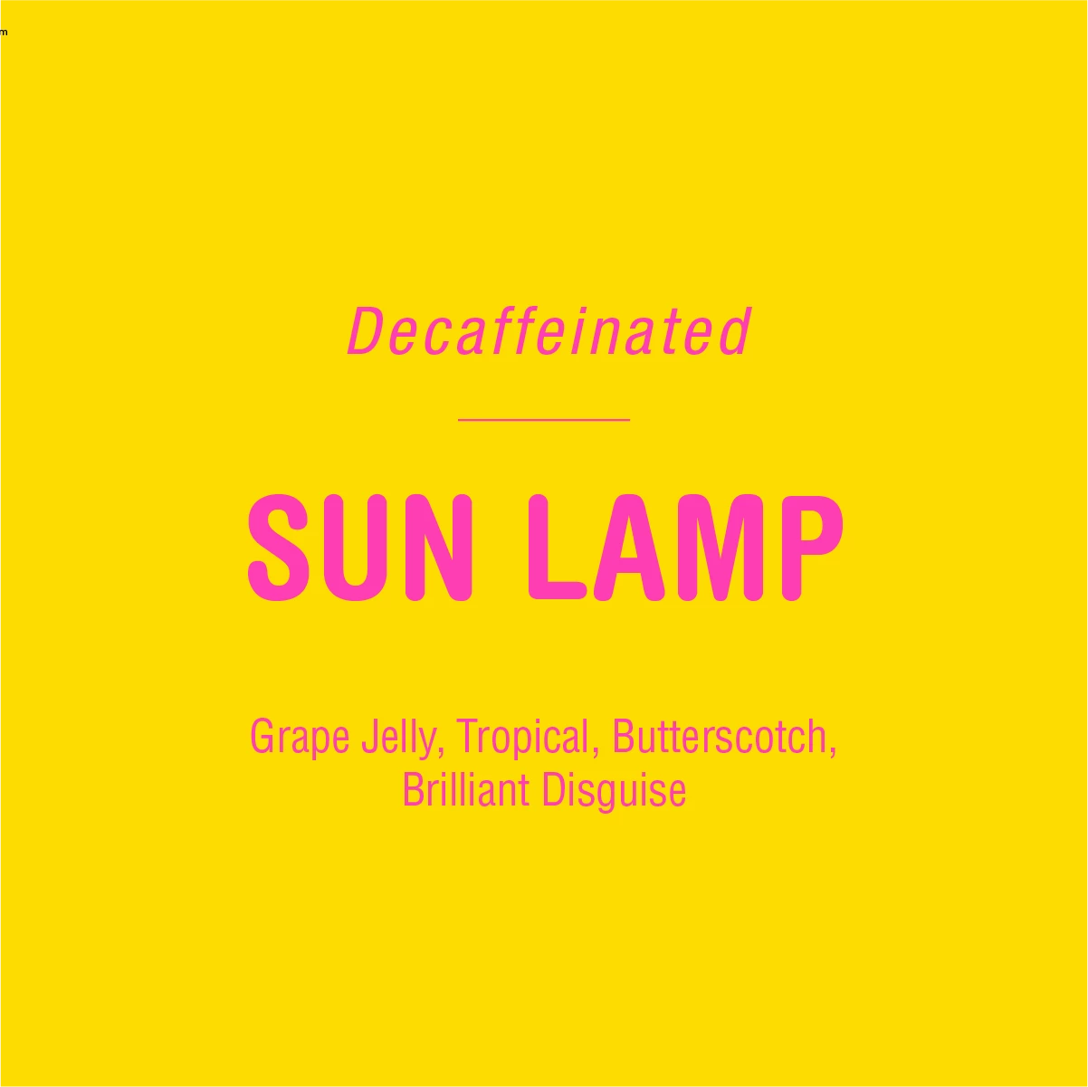 Tandem Coffee Roasters Sun Lamp Coffee 1 Tandem Coffee Roasters Sun Lamp Coffee