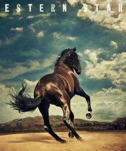 Tandem Coffee Roasters Bruce Springsteen - Western Stars